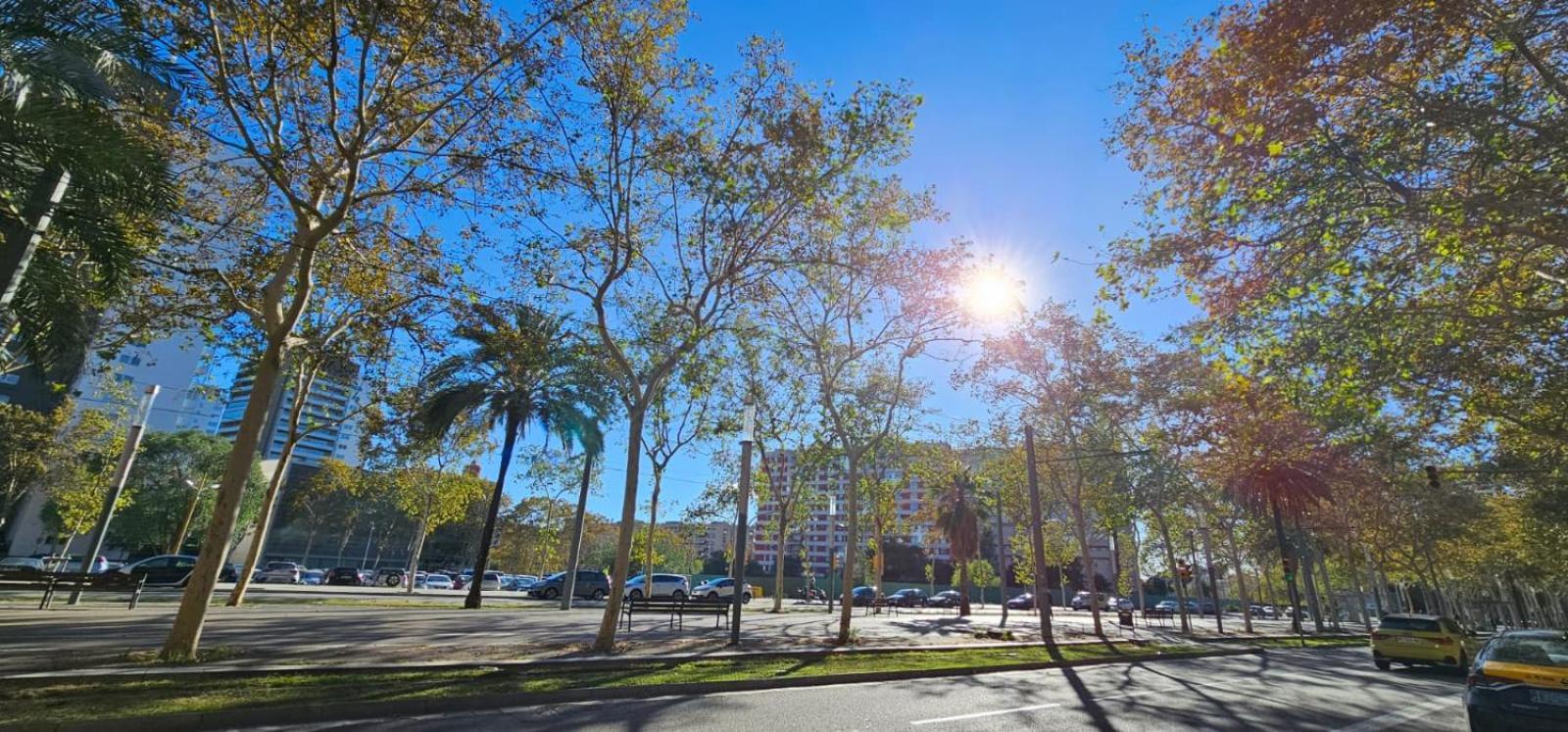 8 Min Walk To The Beach & 10 Min Walk To Convention Centre ! Barcelona Exterior foto